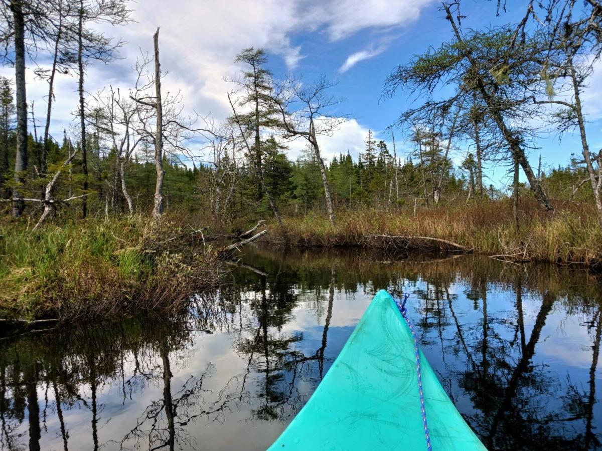 Fiddler'S Lake Escape Gabarus Luaran gambar