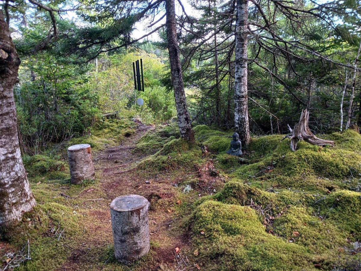 Fiddler'S Lake Escape Gabarus Luaran gambar